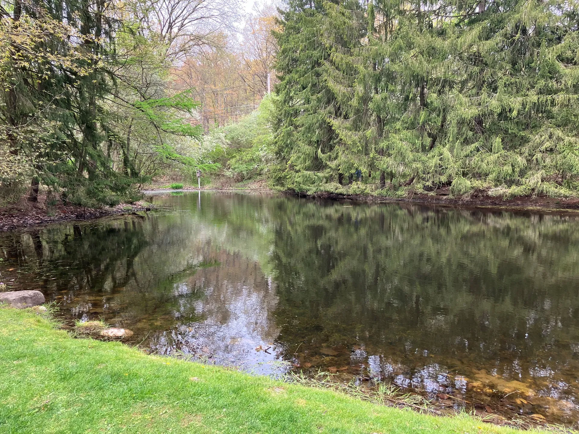 Luxury homes in Bradford Woods